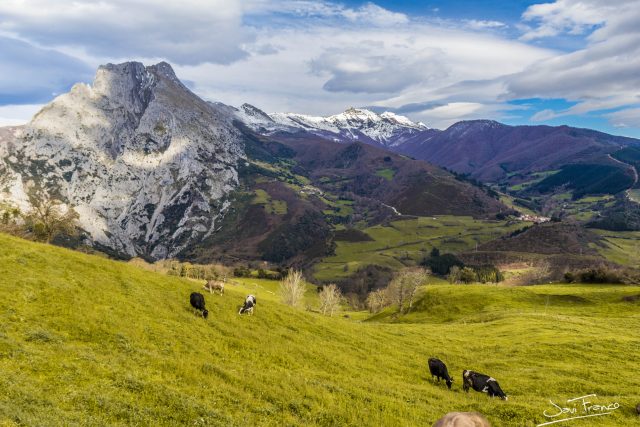 CILLORIGO DE LIEBANA