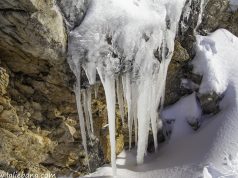 Vega de Liordes en Picos de Europa, fulmina el récord histórico de temperatura mínima en España con 35,6 grados bajo cero VEGA DE LIORDES