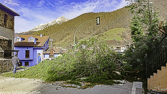 VIENTO ESPINAMA (1 de 1)